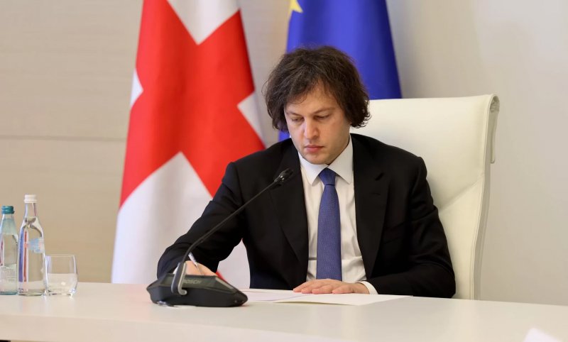 Georgia to crack down on illegal migrants, prime minister vows 