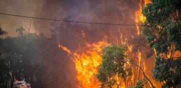 Uncontrolled bushfire forces evacuations in Perth Hills, Australia
