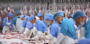 Mongolia exports over 85,000 tonnes of meat, meat products in 2025 