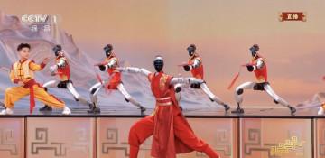 China introduces kung fu robots 