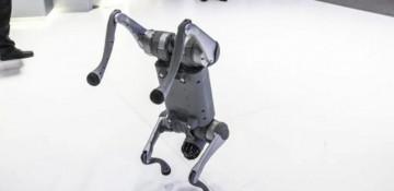 Indian university faces backlash for claiming Chinese robodog as own at AI summit