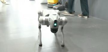 Indian university ousted from AI summit for claiming Chinese robot dog