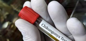 Bolivia confirms 3 Chikungunya deaths amid red alert