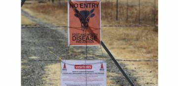 Lesotho confirms FMD outbreak near border with South Africa