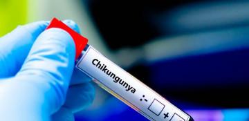 Bolivia records 5th death from Chikungunya fever