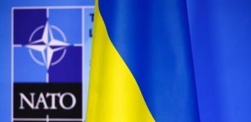 US presses allies to limit Ukraine at NATO summit