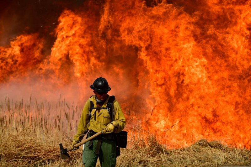 Bezos funds UH project to fight wildfires