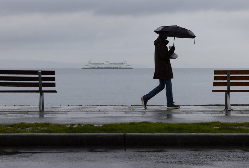 Tree fall kills 1, storms cause power outage in Washington