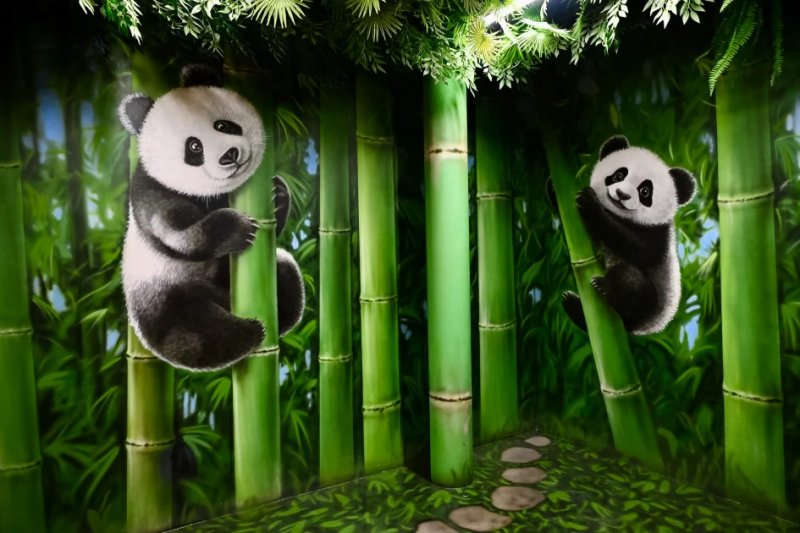 2026/03/17739342721805661422-1200x630-3547886492.webp + Illusion Museum debuts in Baku News about - Illusion Museum debuts in Baku