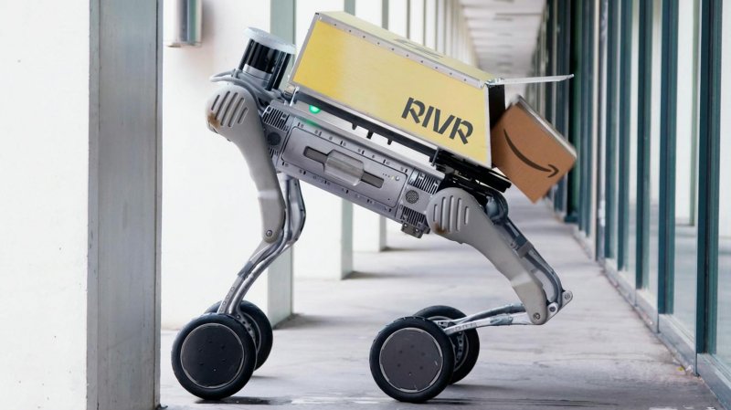 Amazon buys autonomous robotics startup Rivr -  VIDEO 
