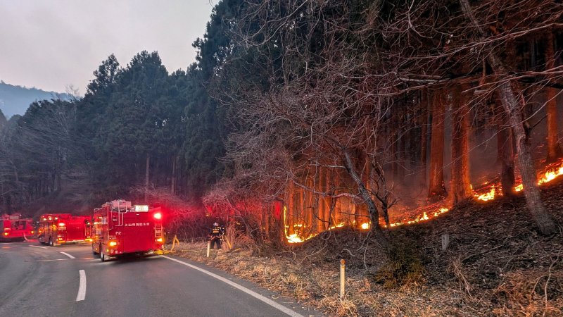 Forest fire breaks out in Japan