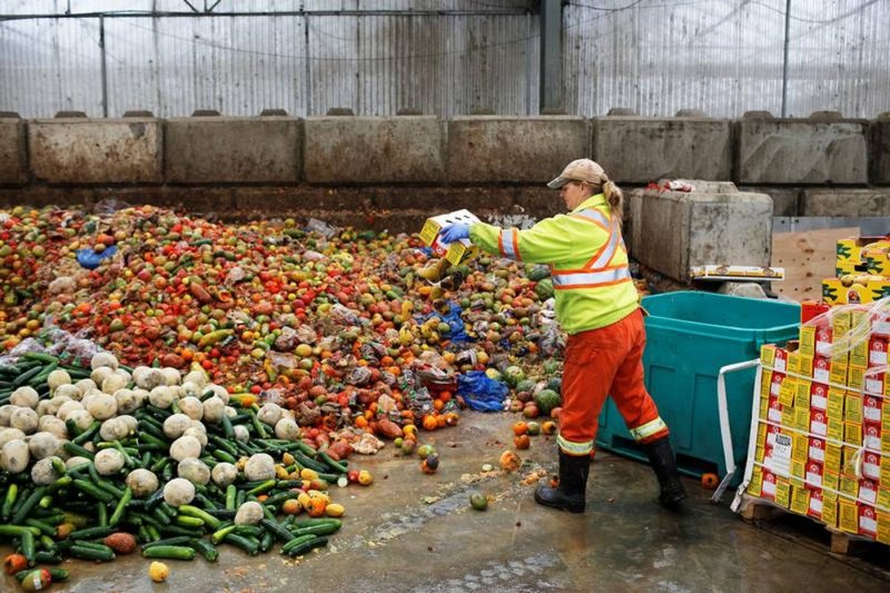 UN warns food waste crisis threatens climate and economy