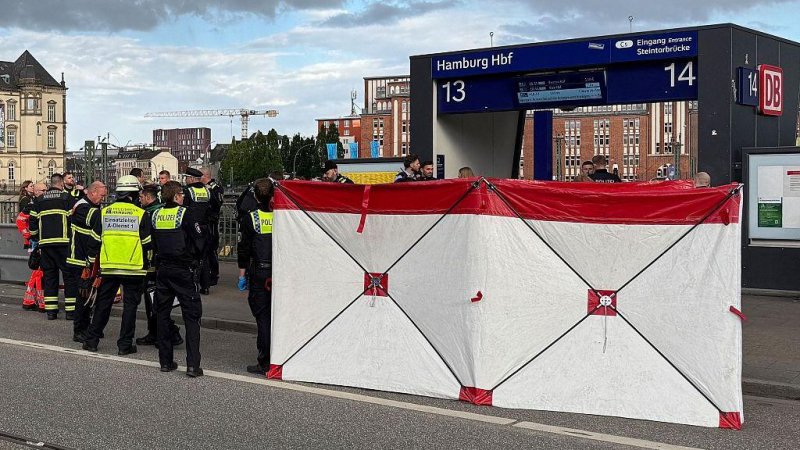 Teen critically injured in Hamburg school stabbing incident