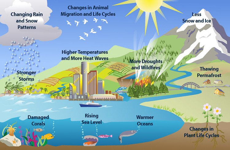 What is climate change and why is it important