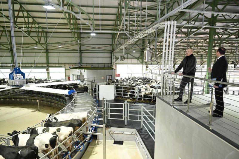 News about - President Aliyev attends opening of “Shirvan Agro” livestock complex in Shamakhi -  PHOTOS 