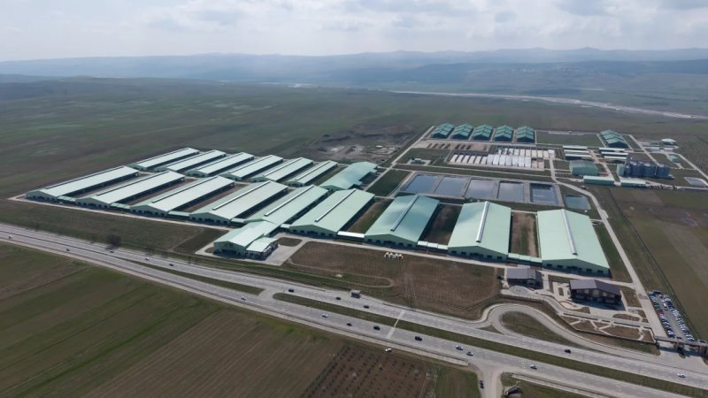 News about - President Aliyev attends opening of “Shirvan Agro” livestock complex in Shamakhi -  PHOTOS 