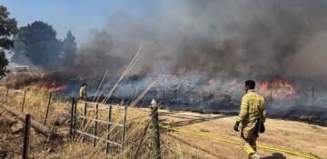 Hezbollah claims new rocket attacks on Israeli troops -  VIDEO 