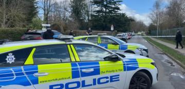 Boy, 16, arrested after teen girl stabbed at Norwich school