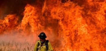 Bezos funds UH project to fight wildfires