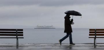 Tree fall kills 1, storms cause power outage in Washington