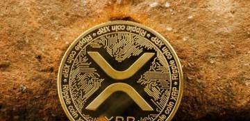 XRP gains attention after Eric Trump endorses Garlinghouse’s leadership