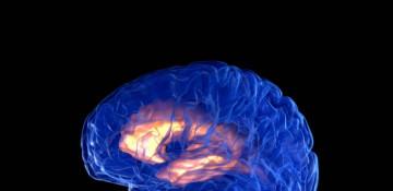 China grants approval for  first-ever  invasive brain implant