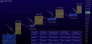 What is the future of Bitcoin after the halving cycle