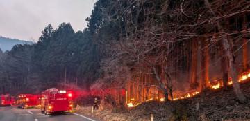 Forest fire breaks out in Japan