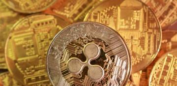 Payments dominate XRP transactions, study finds