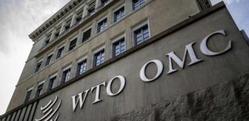 WTO reports record trade disruption in 80 years