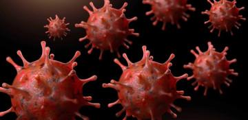 COVID Variant 'Cicada' on the rise: Here's what you need to Know