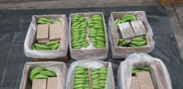 Cocaine worth nearly $100M seized from bananas; three arrested in the UK