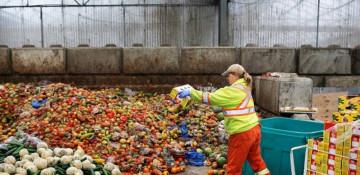 UN warns food waste crisis threatens climate and economy