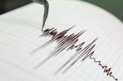 4.6-magnitude earthquake hits off Fukushima, Japan