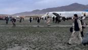 Ariana Afghan Airlines plane skids off runway in Kabul -  VIDEO 