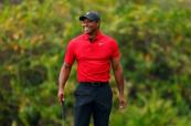 Tiger Woods, top golfer, involved in Florida car crash