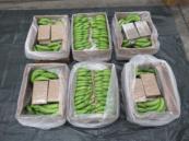 Cocaine worth nearly $100M seized from bananas; three arrested in the UK
