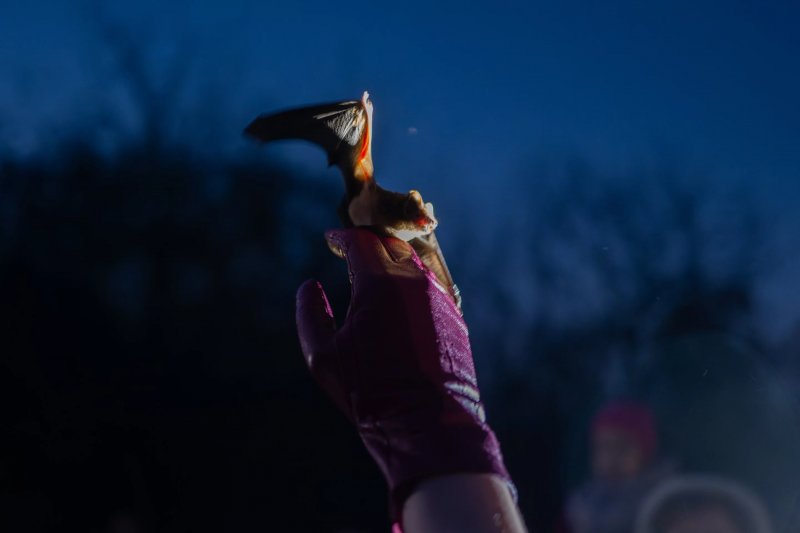 “Life goes on despite the war”