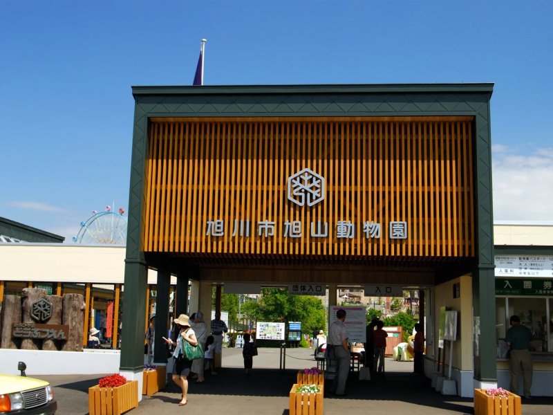 Asahiyama Zoo delays summer opening amid investigation into wife's murder -  VIDEO 