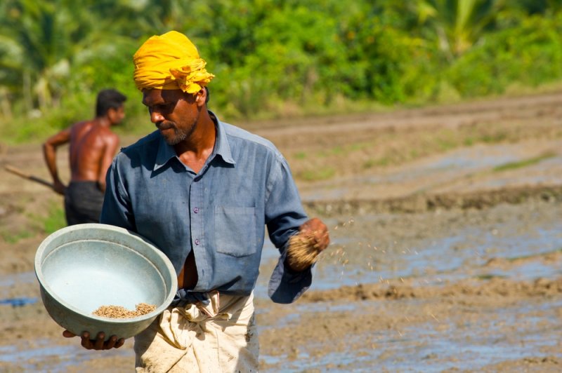 Sri Lanka moves to secure fertiliser supplies as Middle East conflict threatens imports