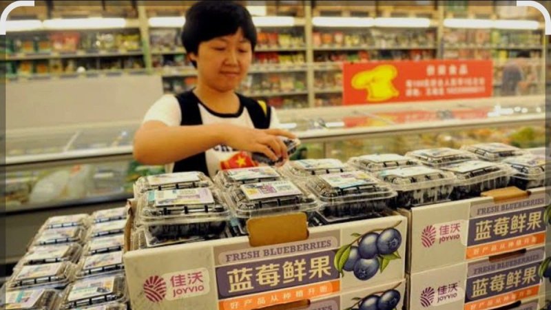 China zero-tariff policy set to boost Zimbabwe blueberry exports