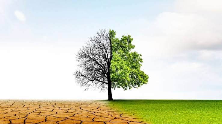 UN launches $5.2M green initiative to boost Nairobi climate resilience