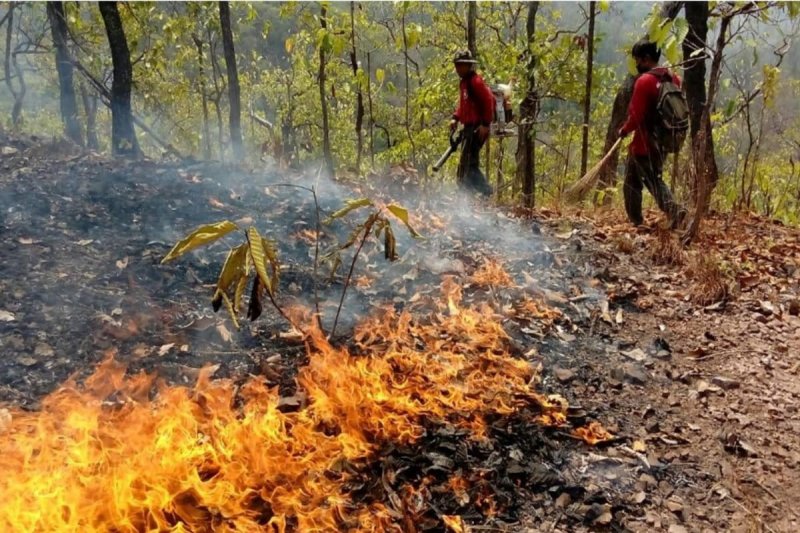 Thailand boosts wildfire response with satellite tech