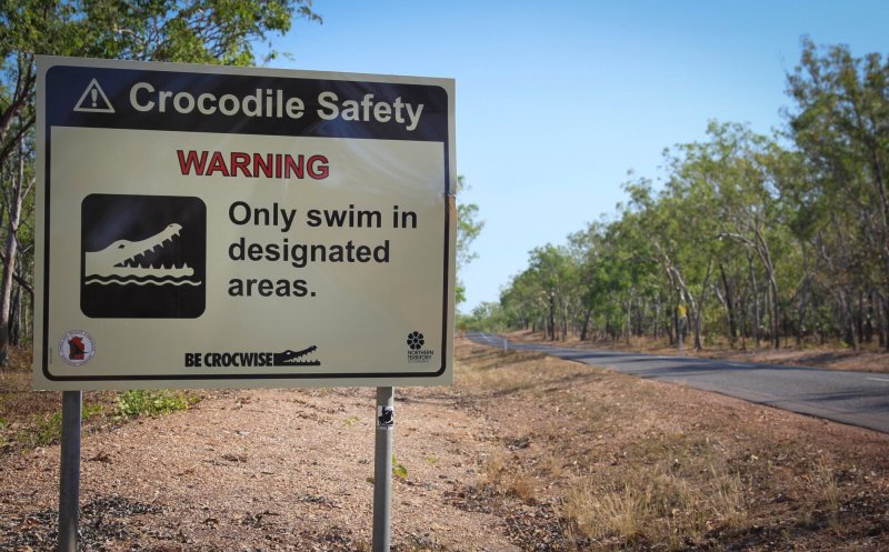 Man attacked by crocodile at Western Australia camping site