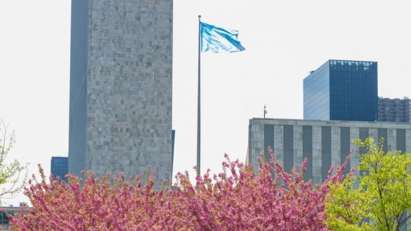 Deep divisions challenge NPT ahead of review conference