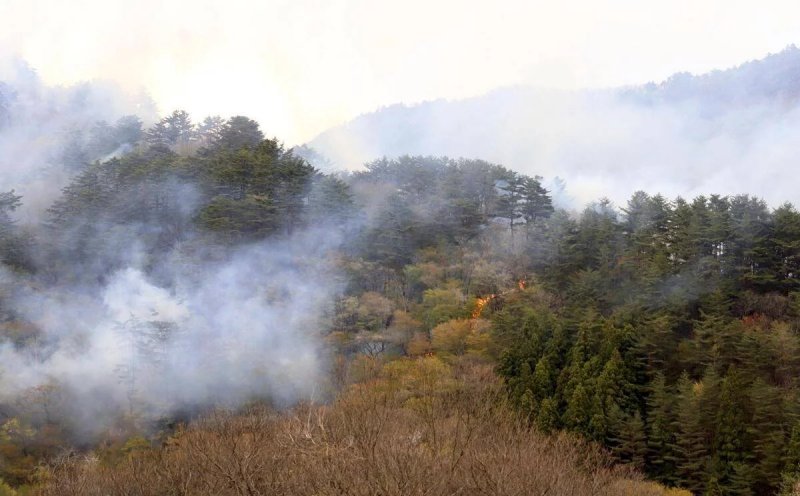 Massive wildfire forces evacuations in northeast Japan