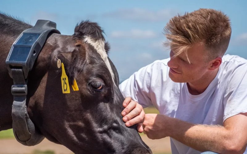 Halter launches world-first satellite-to-collar technology for remote beef farming