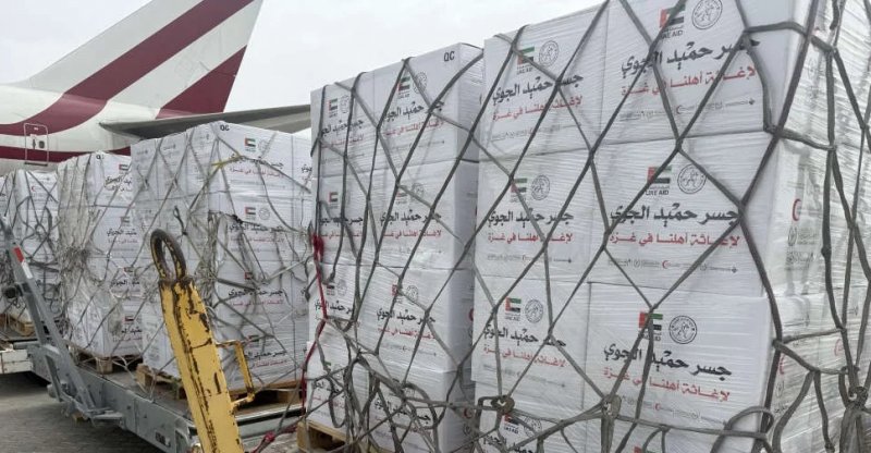 UAE delivers 100 tonnes of food aid to Al Arish for Gaza relief