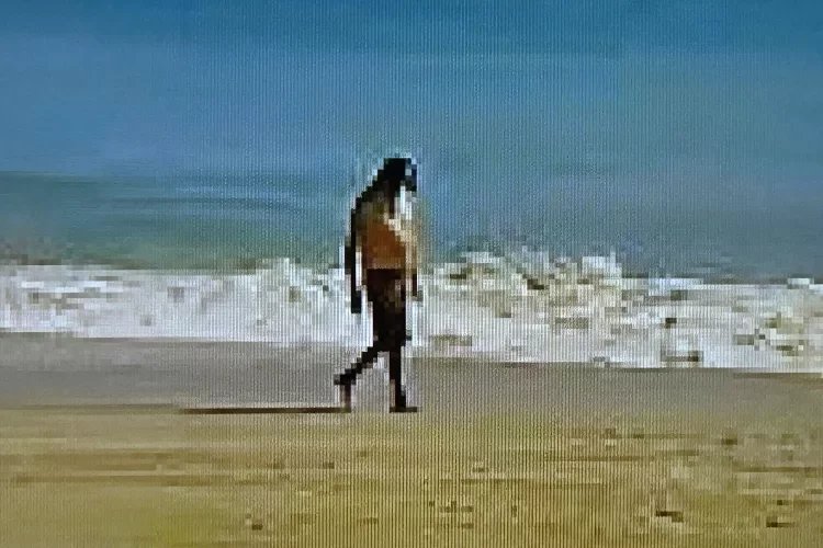 Florida woman saves swimmer later revealed as murder suspect