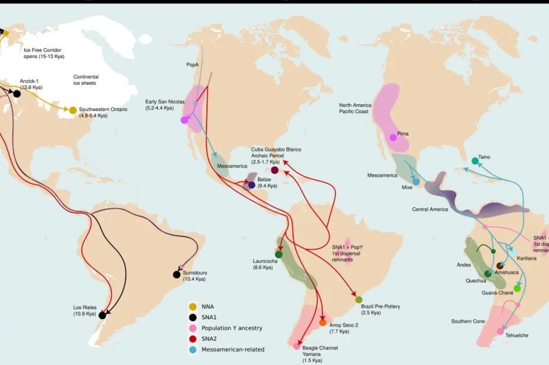 Genomic study reveals third migration wave into South America